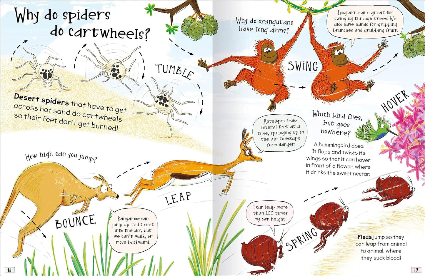 Curious Questions & Answers about Animals