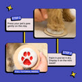 DIY Paw Printing Kit