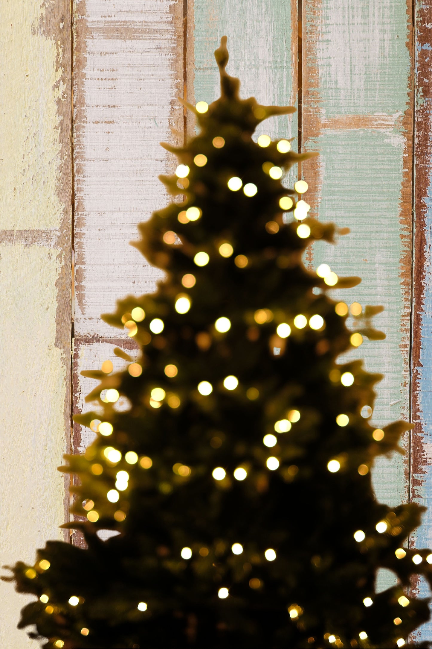 SWEN 6 feet pre-lit MELROSE christmas tree