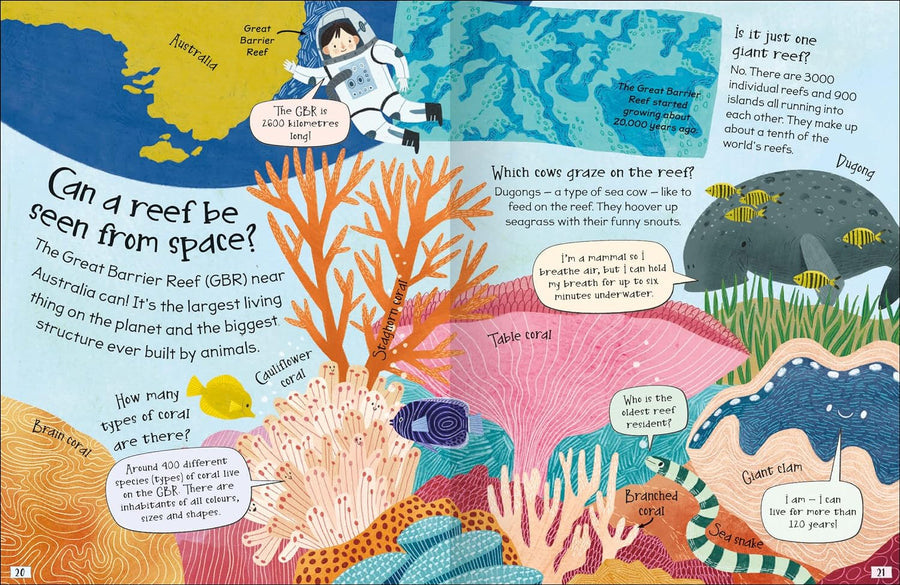 Curious Questions & Answers about Coral Reefs