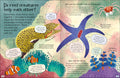 Curious Questions & Answers about Coral Reefs
