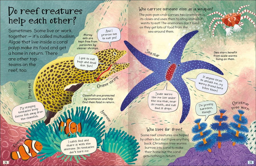 Curious Questions & Answers about Coral Reefs