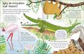 Curious Questions & Answers about Animals