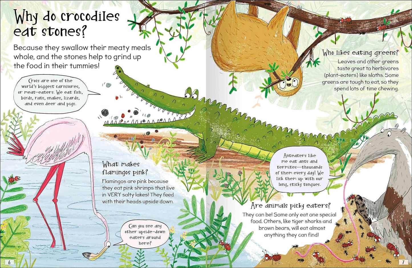 Curious Questions & Answers about Animals