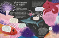 Curious Questions & Answers about Coral Reefs