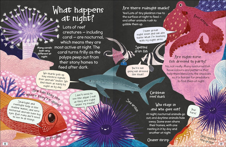 Curious Questions & Answers about Coral Reefs