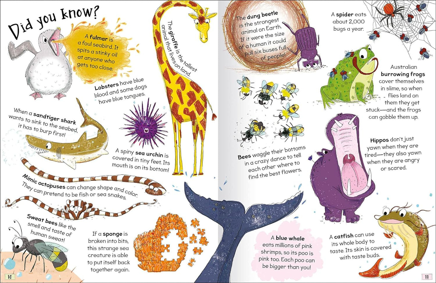 Curious Questions & Answers about Animals