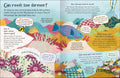 Curious Questions & Answers about Coral Reefs