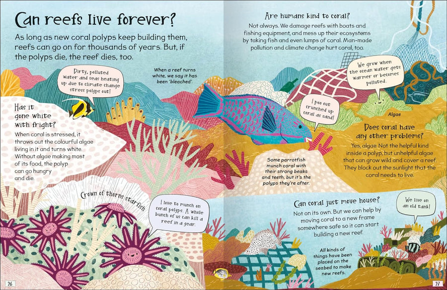 Curious Questions & Answers about Coral Reefs