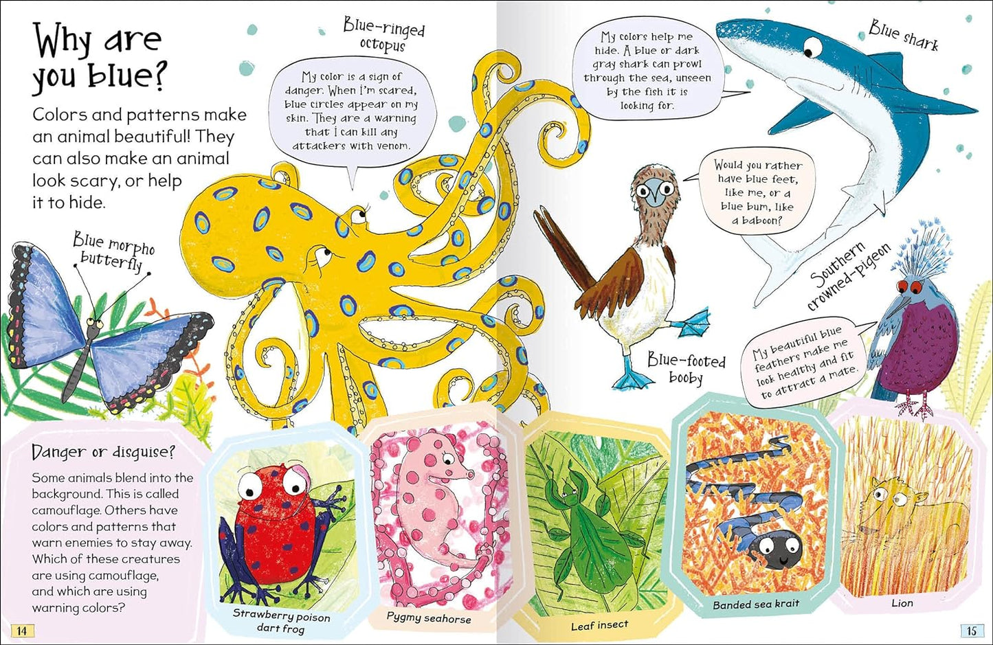 Curious Questions & Answers about Animals