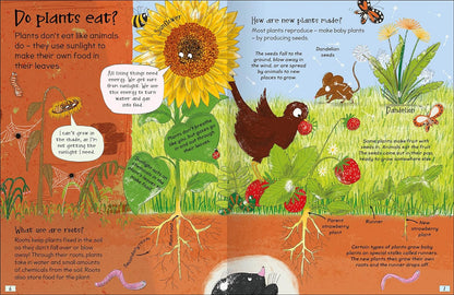 Curious Questions & Answers about Science