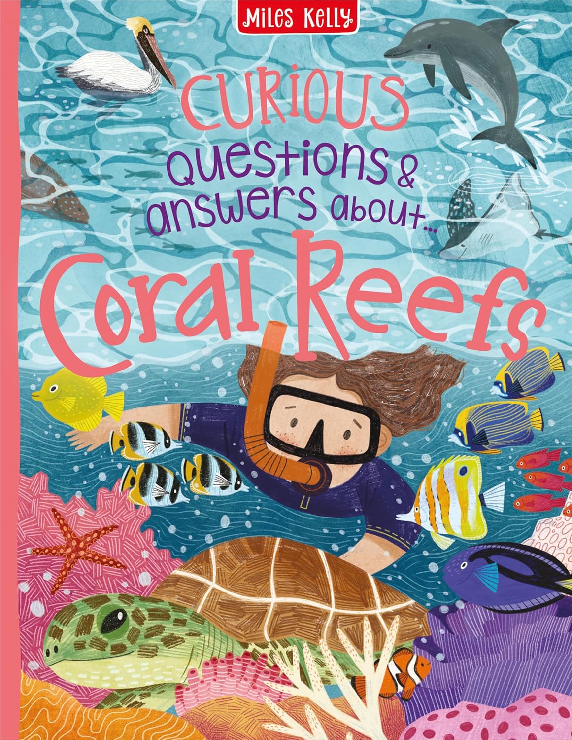 Curious Questions & Answers about Coral Reefs