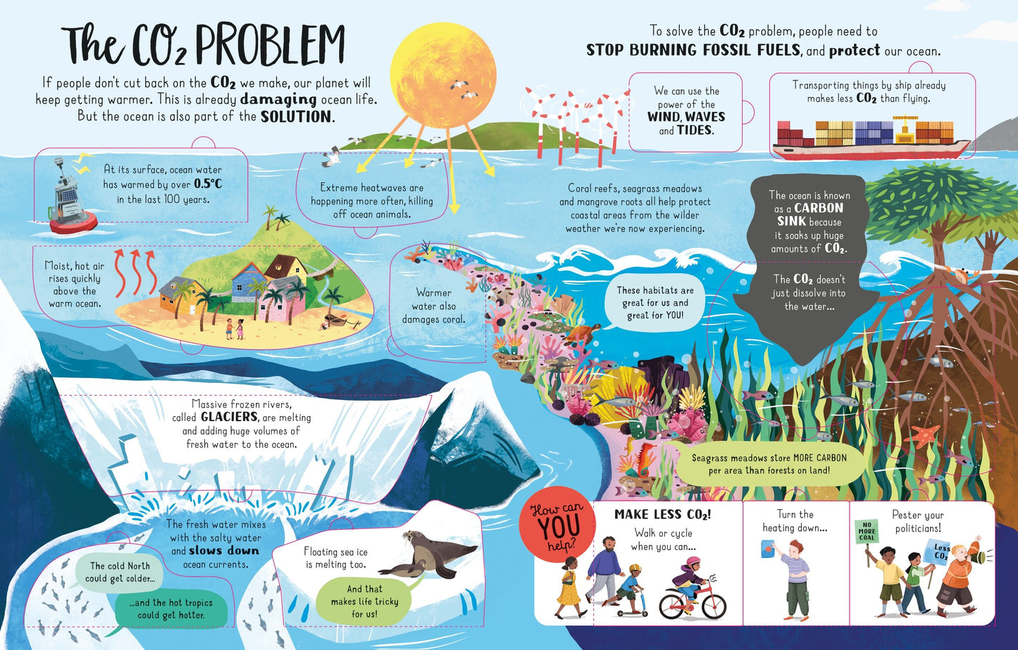 Lift-the-flap Looking After Our Ocean