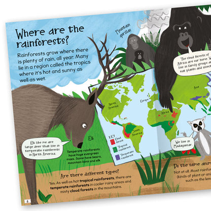 Curious Questions & Answers About Rainforests