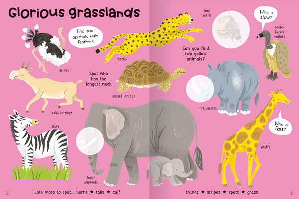 Animals Sticker Book
