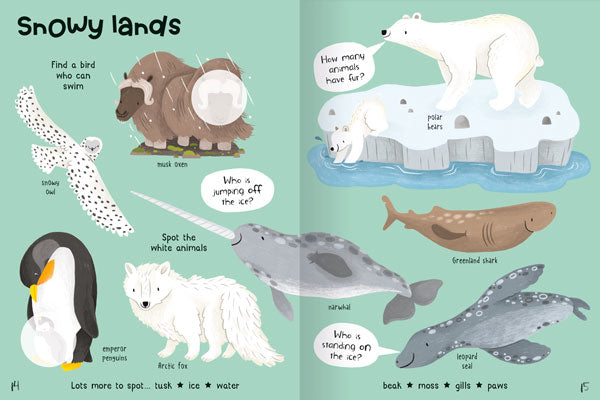 Animals Sticker Book