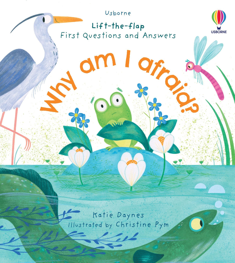 Lift the Flap Very First Questions and Answers: Why am I afraid?