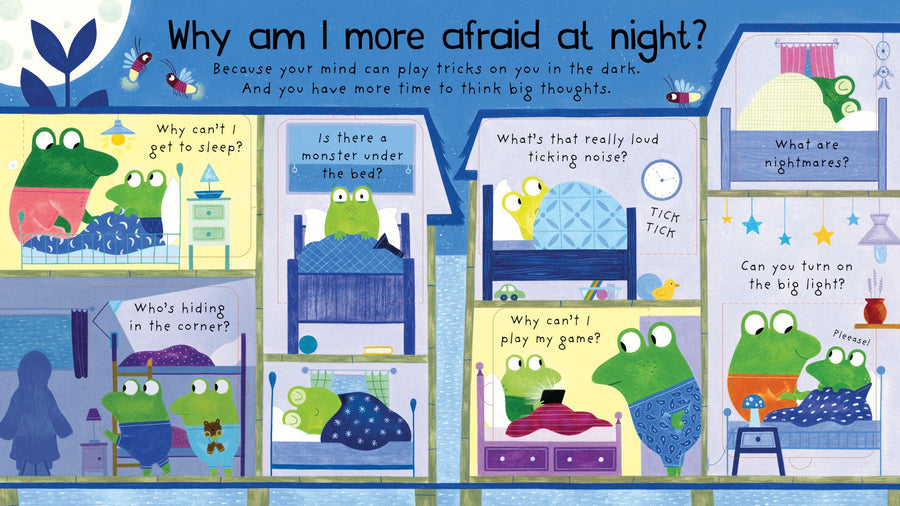 Lift the Flap Very First Questions and Answers: Why am I afraid?