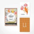 Flash Cards for Babies & Toddlers - 3 Options