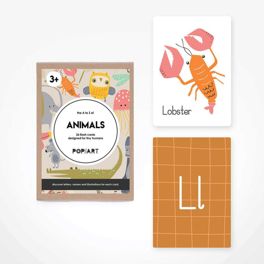 Flash Cards - 3 Options
