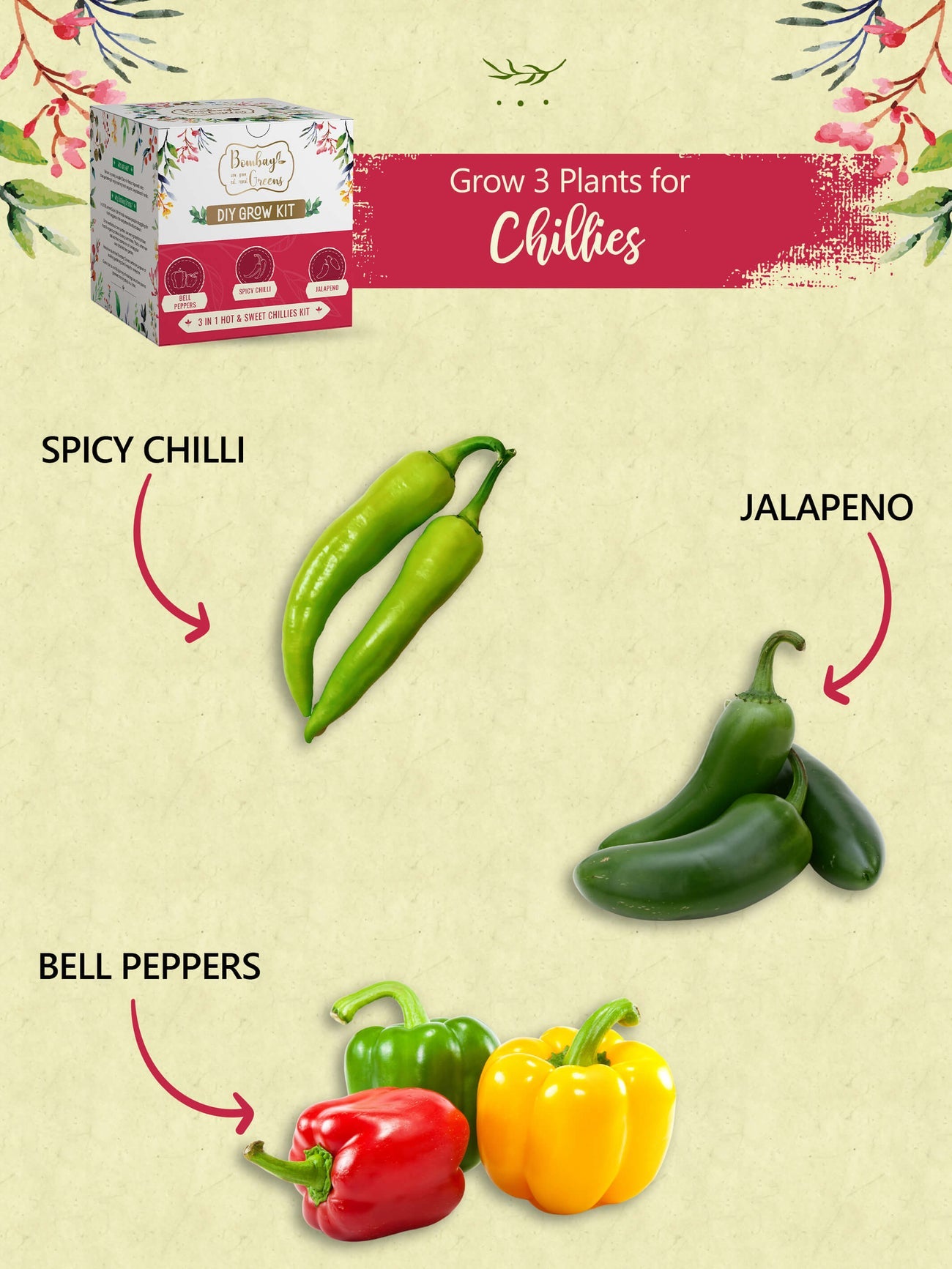 Chillies Kit -Grow Spicy Green, Jalapeno, Bell Peppers