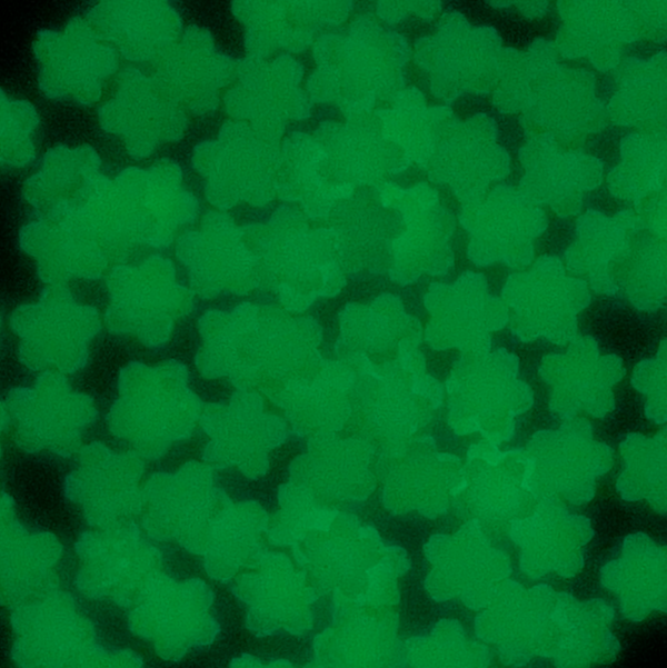 Stikeeze Glow in the Dark Confetti  | Blue Flowers | 3 gms | For Crafts, Slime & Resin Art