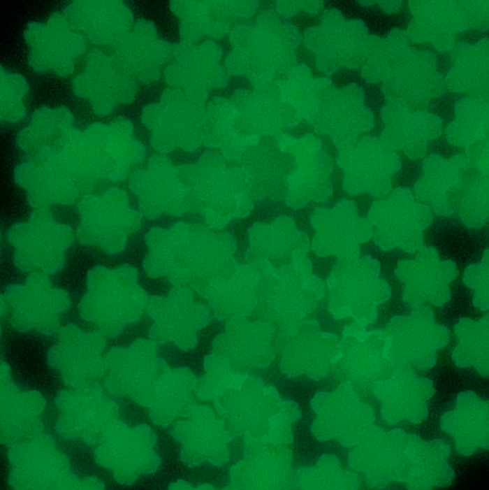 Stikeeze Glow in the Dark Confetti  | Blue Flowers | 3 gms | For Crafts, Slime & Resin Art