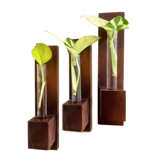 Test Tube Wall Planter with Wooden Holder (set of 3)