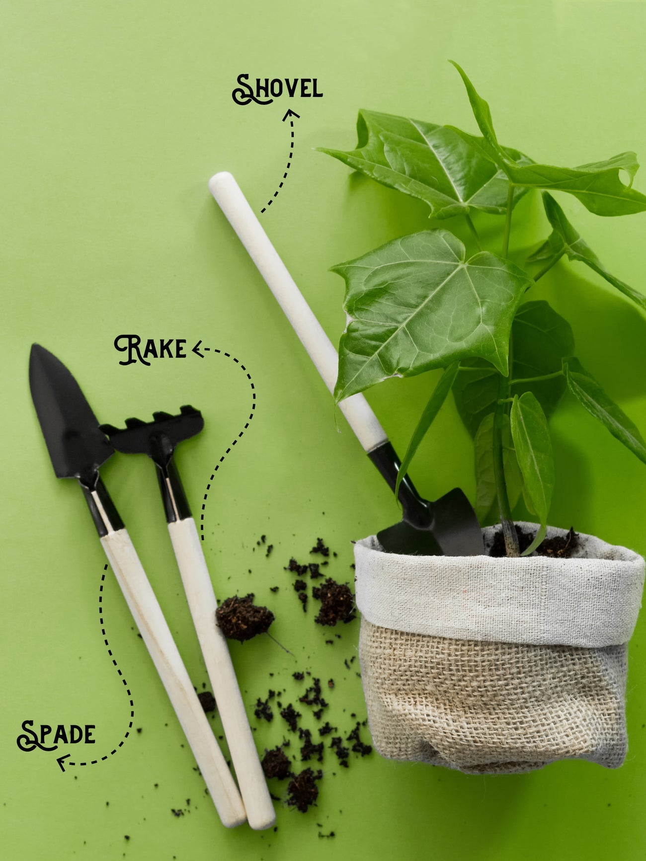 3 in 1 Mini Gardening Tools Kit  (Set of 3)