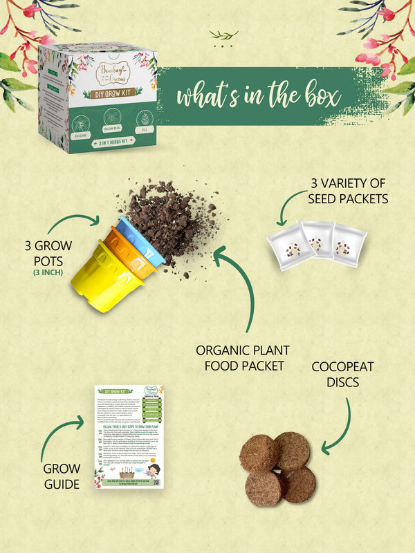 Herbs Kit - Italian Basil, Dill, Oregano