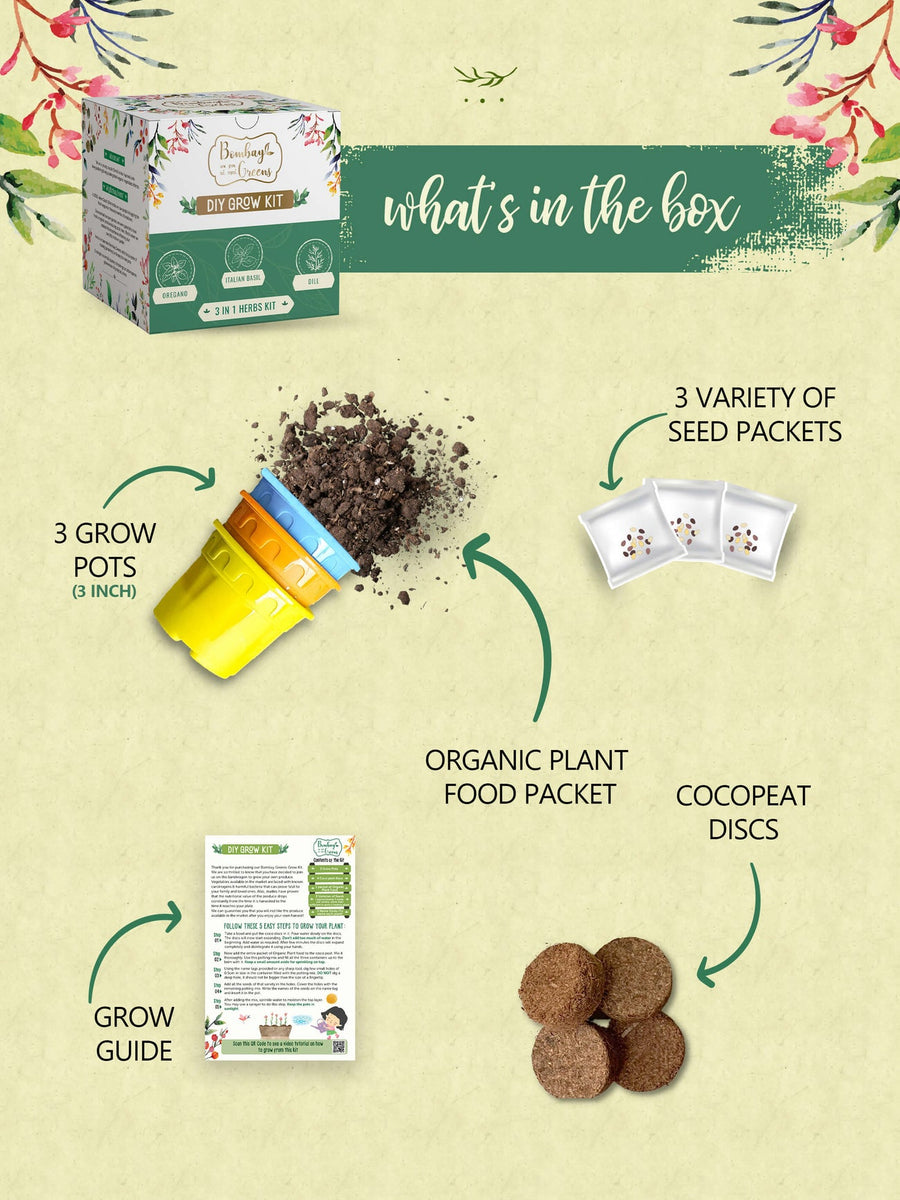 Herbs Kit - Italian Basil, Dill, Oregano