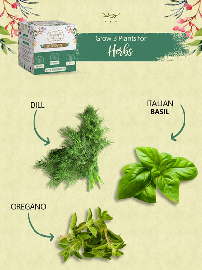 Herbs Kit - Italian Basil, Dill, Oregano
