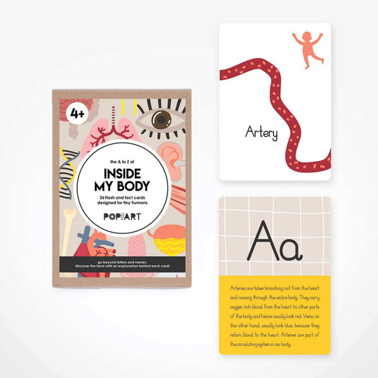 Fact & Flash Cards - Inside My Body