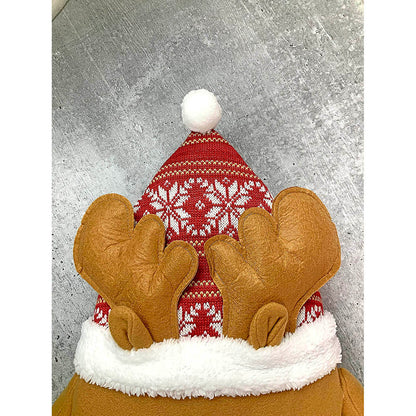 Fluffy Reindeer Christmas Themed Pillow