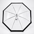 Black Big Border Transparent Umbrella for Teens & Adults