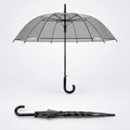 Black Beauty Jelly Transparent Umbrella for Teens & Adults