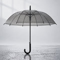 Black Beauty Jelly Transparent Umbrella for Teens & Adults