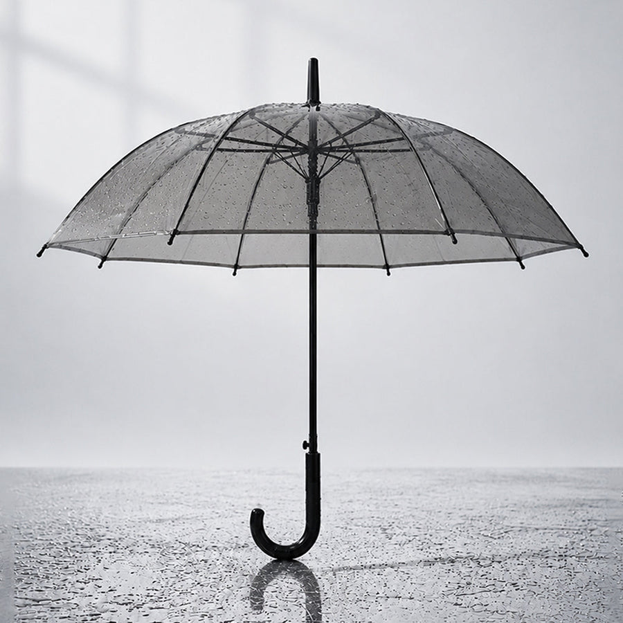 Black Beauty Jelly Transparent Umbrella for Teens & Adults