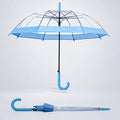 Blue Big Border Transparent Umbrella for Teens & Adults