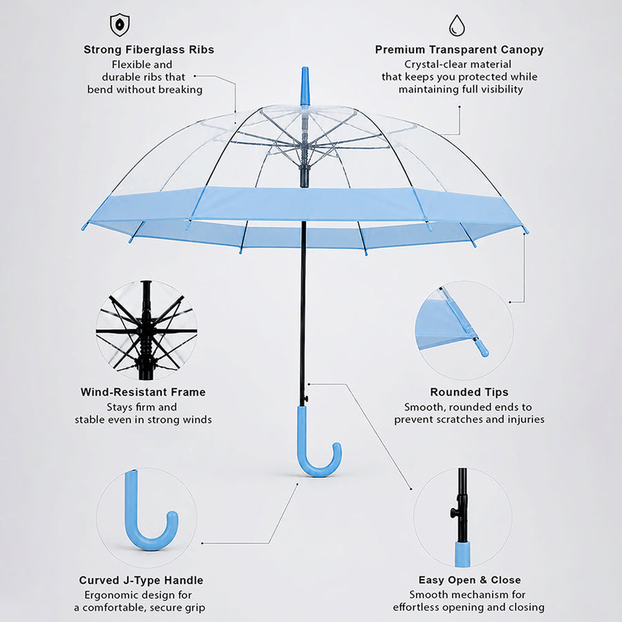 Blue Big Border Transparent Umbrella for Teens & Adults