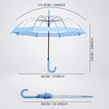 Blue Big Border Transparent Umbrella for Teens & Adults