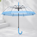 Blue Big Border Transparent Umbrella for Teens & Adults