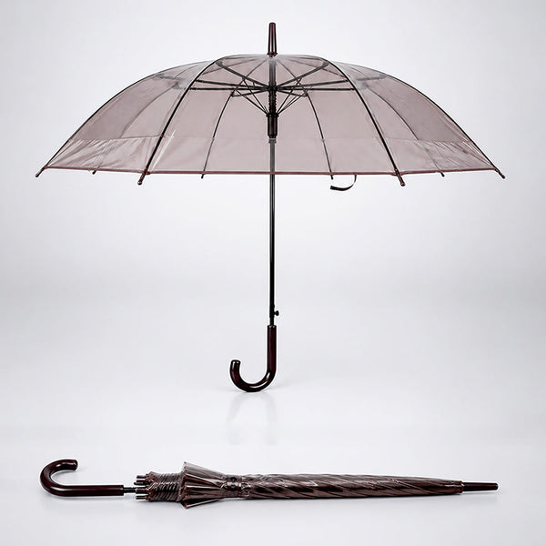 Coffee Brown Jelly Transparent Umbrella for Teens & Adults