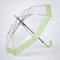 Green Big Border Transparent Umbrella for Teens & Adults