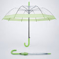 Green Big Border Transparent Umbrella for Teens & Adults