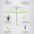 Green Big Border Transparent Umbrella for Teens & Adults
