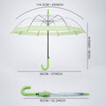 Green Big Border Transparent Umbrella for Teens & Adults