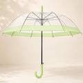 Green Big Border Transparent Umbrella for Teens & Adults