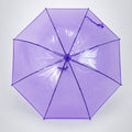 Rich Purple Jelly Transparent Umbrella for Teens & Adults