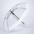 White Big Border Transparent Umbrella for Teens & Adults